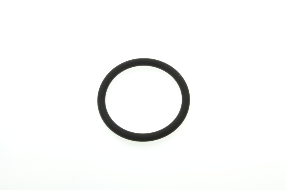 O-Ring%204131